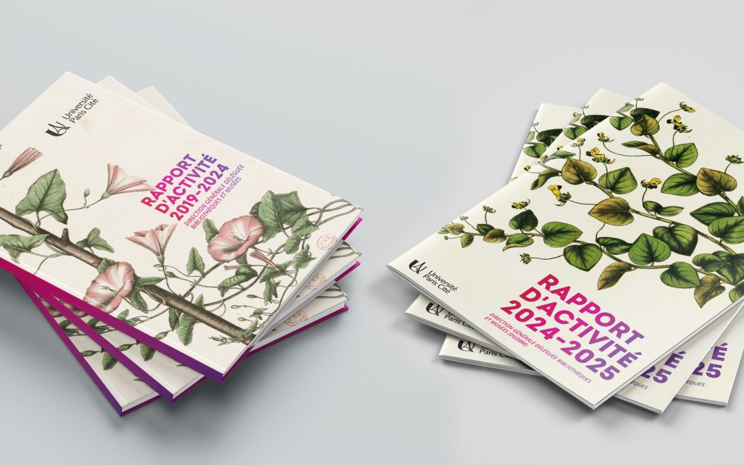 La Direction des bibliothèques et musées publie ses rapports d’activité 2019-2024 et 2024-2025