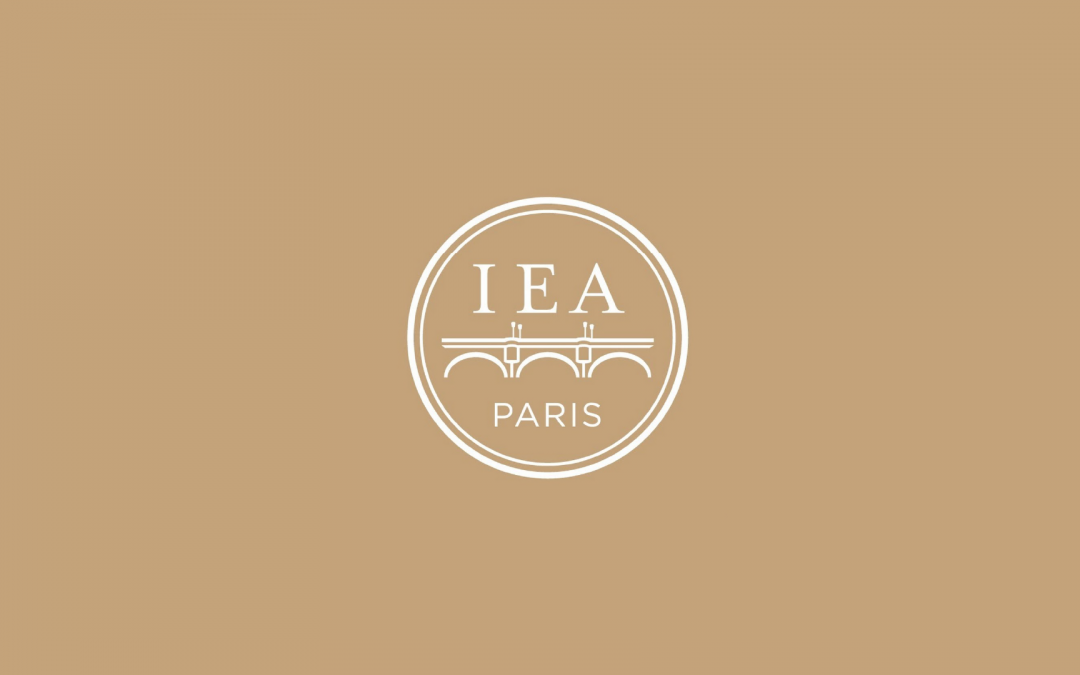 Appel à candidatures: jeunes chercheur·ses, IEA de Paris, « Constructive Advanced Thinking »