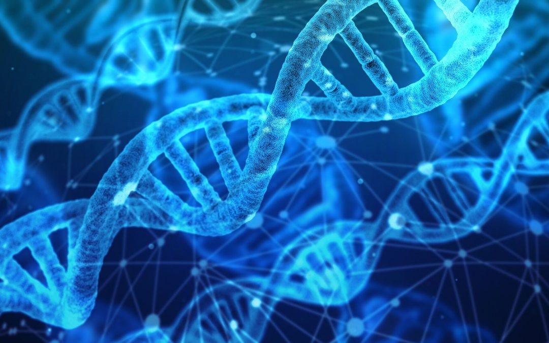 Un nouveau groupe de maladies génétiques expliquent la prédisposition à des maladies virales sévères