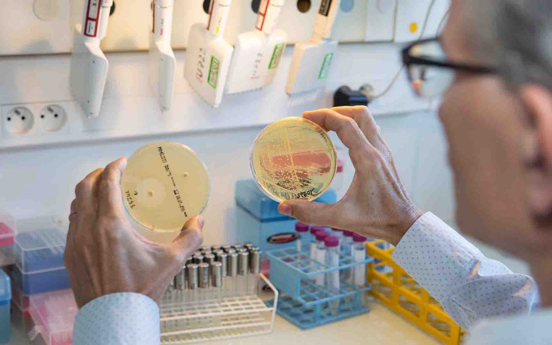 FHU : la Faculté de Santé d’Université Paris Cité remporte plus de la moitié des projets labellisés