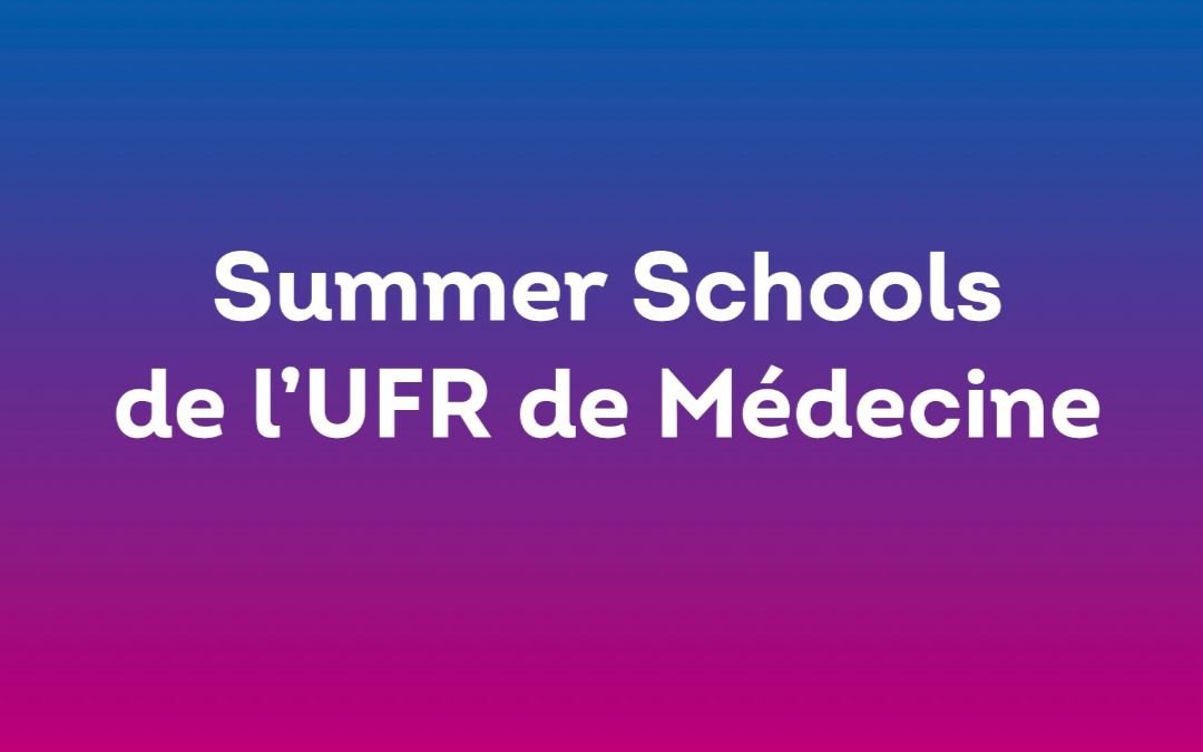 Summers Schools 2026 : une expérience académique internationale d’excellence à l’UFR de Médecine