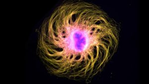 [EXPOSITION] OUVRIR l'OEIL @ Hall A des Grands Moulins