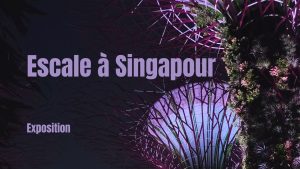 [EXPOSITION] Escale à Singapour @ Site Odéon