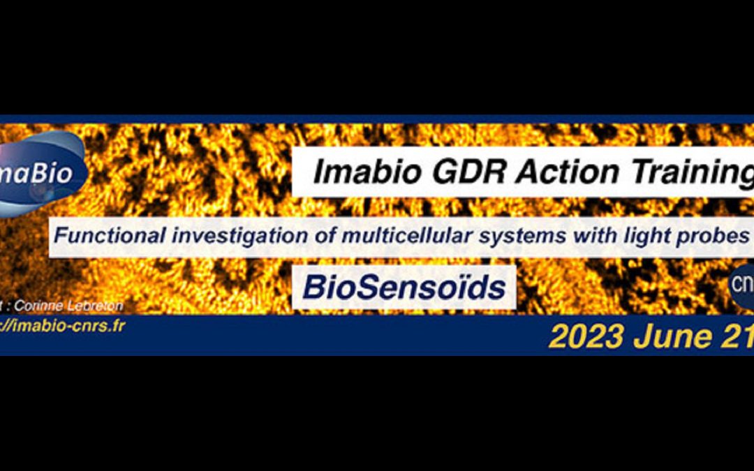 BioSens-oids: Functional investigation of multicellular systems with light probes