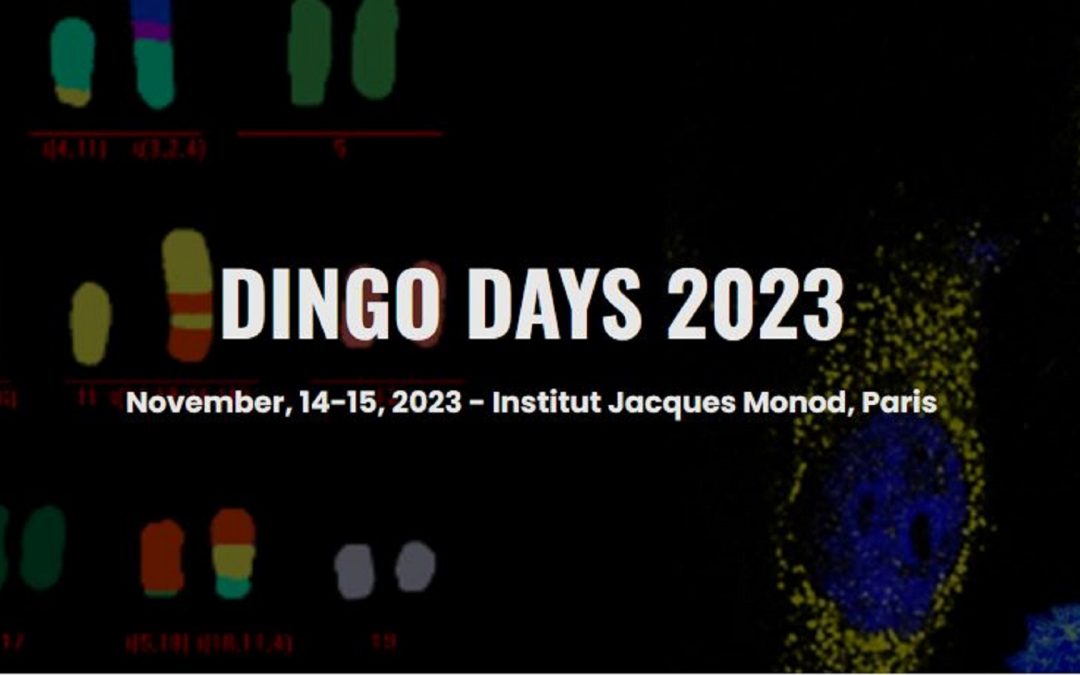 DINGO Days 2023 : Dynamique de l’instabilité génétique et oncogenèse