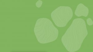 SDG Summer School 2020 : 15 places offertes aux étudiants d'Université Paris Cité