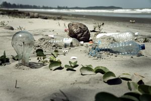 [WEBINAR] Les écosystèmes marins : état des savoirs et impacts de la crise sanitaire