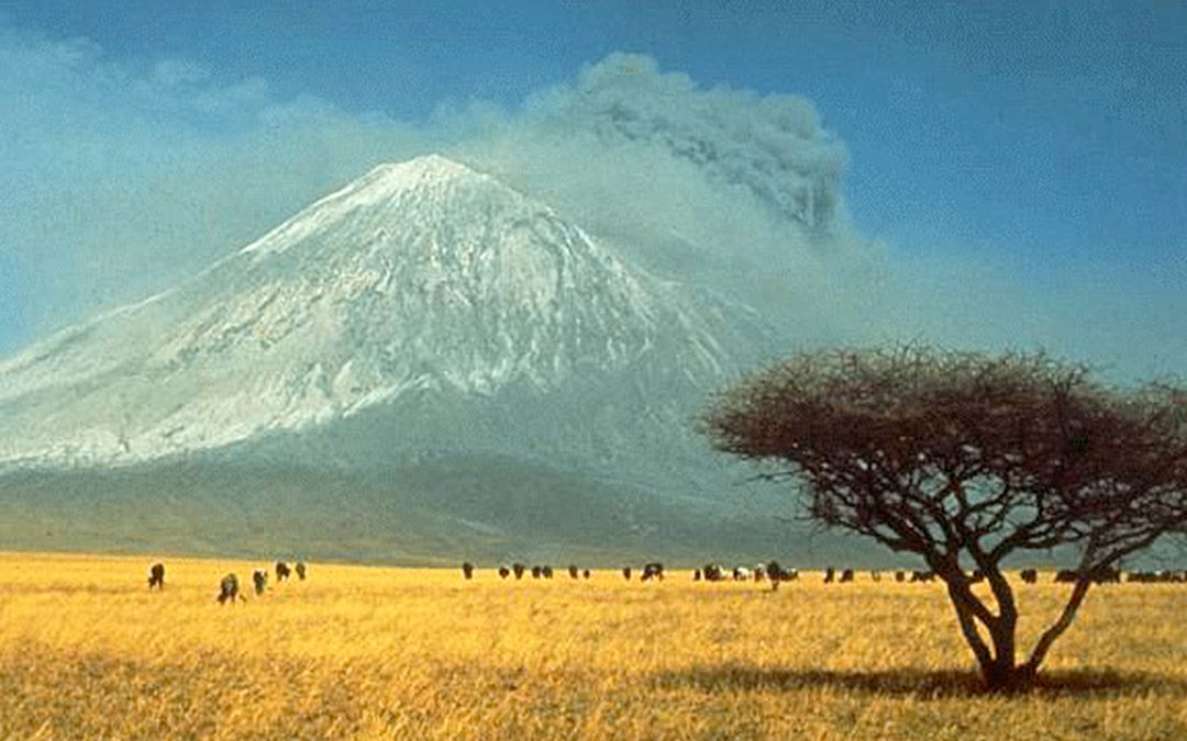 La subduction des carbonates marins à l’origine du magmatisme carbonatitique depuis plus de 3 milliards d’années