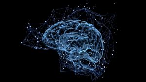 La Semaine du Cerveau à l’Institut Neurosciences et Cognition @ Campus Saint-Germain des Prés