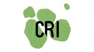 Le CRI célèbre la journée mondiale de la Terre @ En ligne