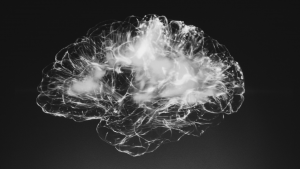 Forum des Sciences Cognitives 2021 @ en ligne via zoom
