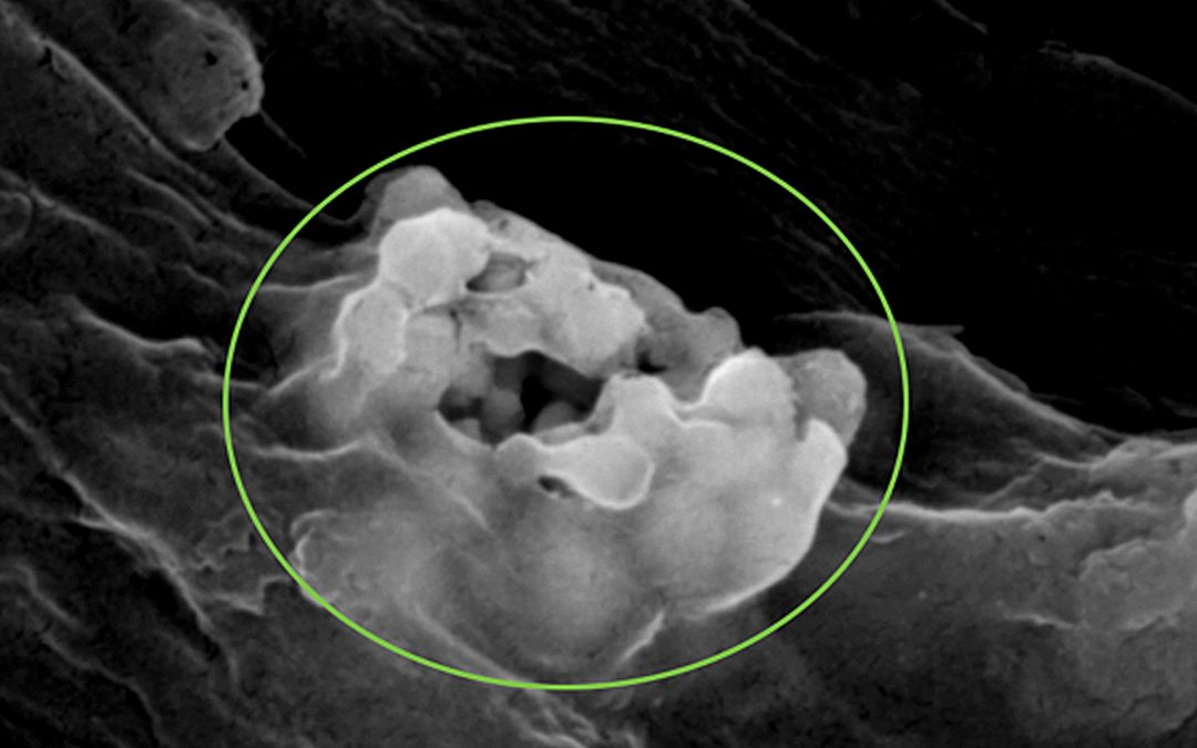 Le devenir des nanoparticules de titane dans les milieux naturels