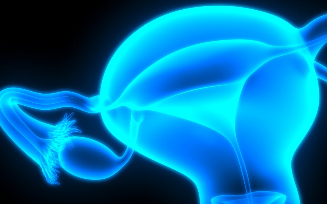 ComPaRe Endométriose : comment améliorer la prise en charge du point de vue des patientes