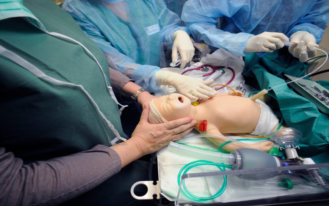 Un département dédié à la Maïeutique voit le jour à la Faculté de Santé