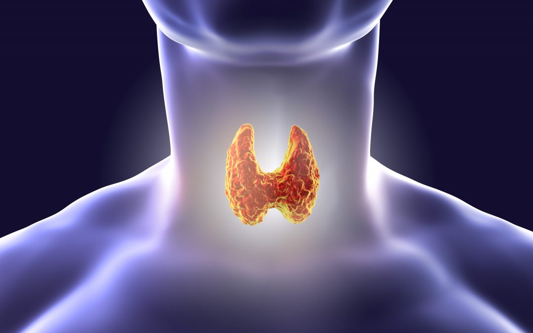 La Communauté de Patients pour la Recherche, COMPARE, lance une étude d’envergure dédiée à l’hypoparathyroïdie chronique