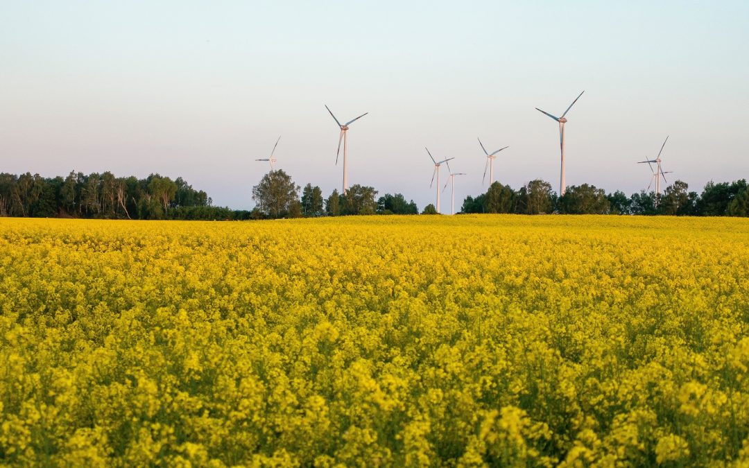 Engagez-vous pour le climat en participant à la SUAD Youth COP