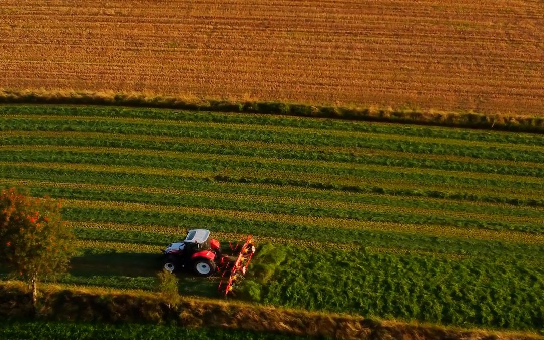 GreeNH3 veut relever le défi de la production d’ammoniac à partir d’azote atmosphérique