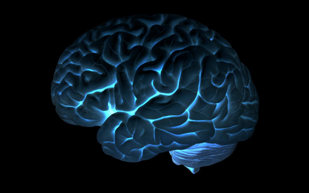 Du 11 au 17 mars, consacrez 1 semaine à votre cerveau !