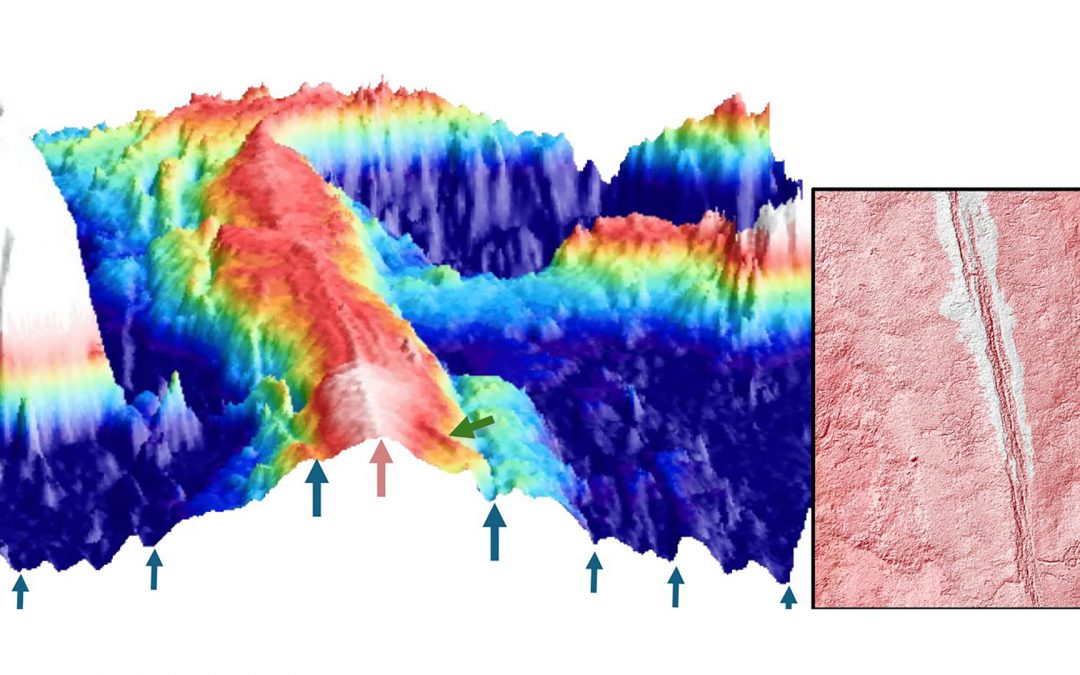 Evidence of magmatically induced faults at the East Pacific Rise