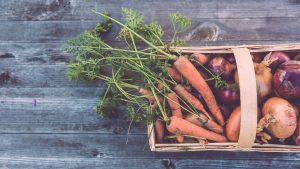 Free distribution of organic vegetable baskets @ Campus Saint-Germain-des-Prés