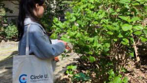 [Circle U.] Journée mondiale de l'environnement @ En ligne et en présentiel