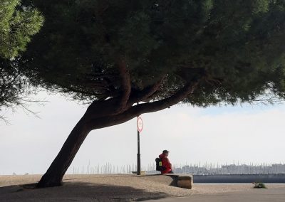 Regarder l'arbre monde ployer
