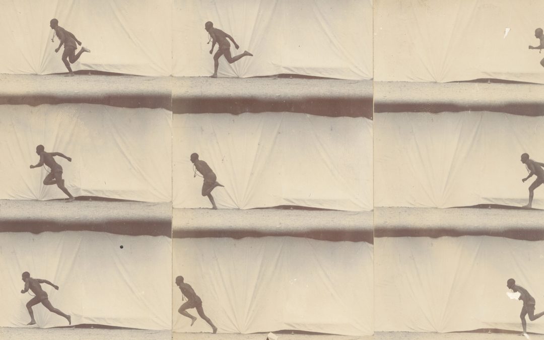 Exposition « Étienne-Jules Marey : chronophotographie, sciences et arts » du 6 novembre au 18 février