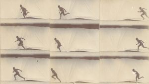 Exposition « Étienne-Jules Marey : chronophotographie, sciences et arts » @ Musée d’Histoire de la Médecine