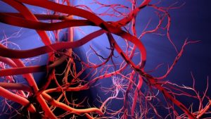 [Cardiovascular Sciences] Participez à l'UE d’ouverture interdisciplinaire ouverte aux M2 de toutes les Graduate Schools @ Format hybride