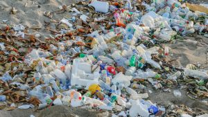 Journée interdisciplinaire sur les micro et nanoplastiques : de la recherche à l'action @ Amphithéâtre Buffon, Université Paris Cité