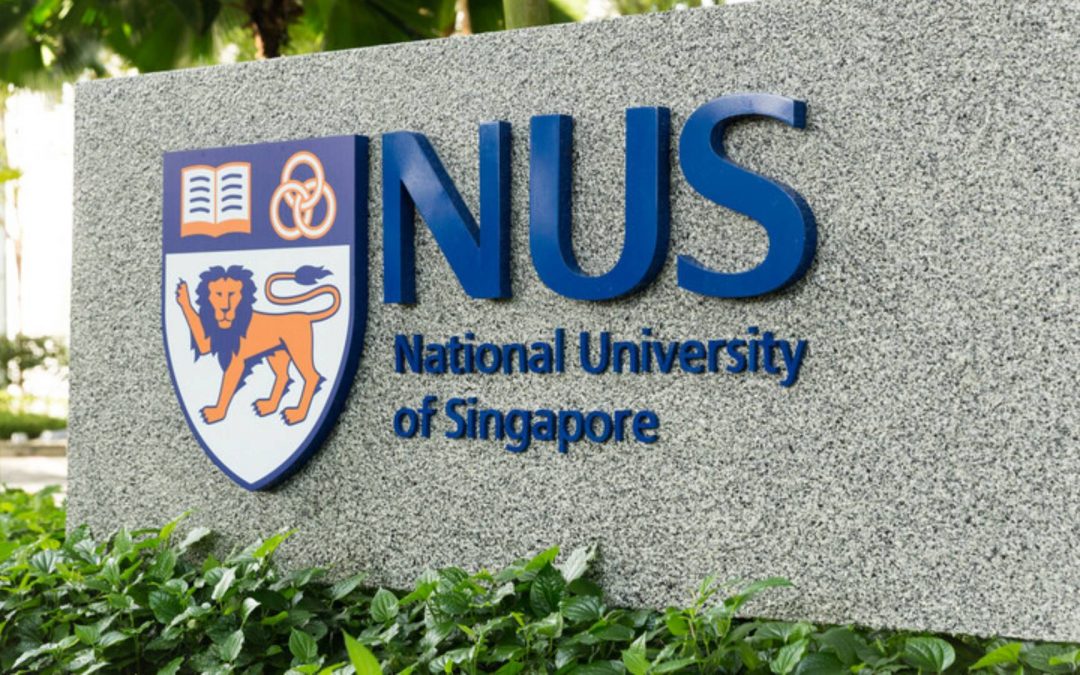 [Paris-NUS] Résultats des appels à projets 2026