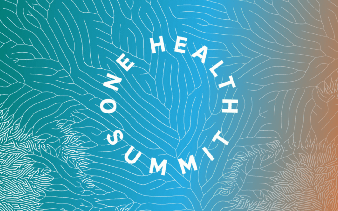 One Health Summit: the Graduate School 1H-EID at the heart of global health issues